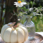 DIY Set - Herbstdeko - Teller Hortensie inkl. Vase, Kürbis + Zubehör