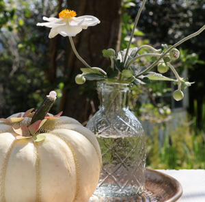 DIY Set - Herbstdeko - Teller Hortensie inkl. Vase, Kürbis + Zubehör – Bild 4