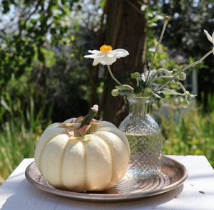 DIY Set - Herbstdeko - Teller Hortensie inkl. Vase, Kürbis + Zubehör – Bild 2