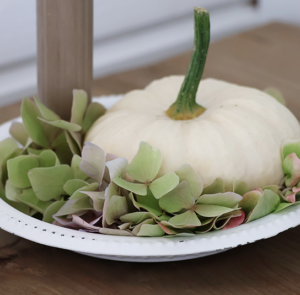 DIY Set - Herbstdeko - Teller Vit inkl. Kürbis, Magnet & Kerze – Bild 5