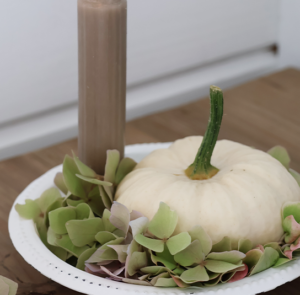 DIY Set - Herbstdeko - Teller Vit inkl. Kürbis, Magnet & Kerze – Bild 2