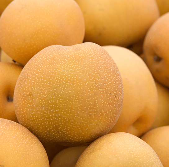 Nashi-Birne_Chojuro_-Pyrus_pyrifoliaChojuro2