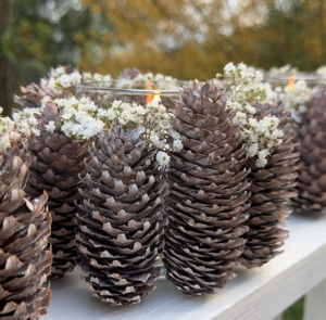 DIY Set - Adventkranz mit Zapfen white washed - Folge 3: Cosis schönste Adventkränze – Bild 3