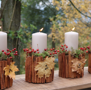 DIY Set - Adventkranz mit Zimt - Folge 4: Cosis schönste Adventkränze – Bild 8