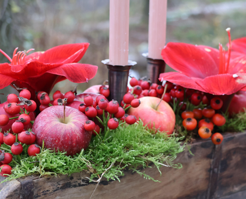 deko_startseite Gehoelze Startseite