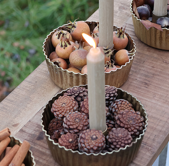 heleborus-gold-klein