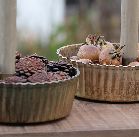 heleborus-gold-klein01