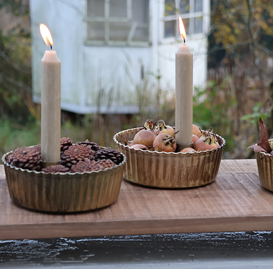 heleborus-gold-klein03