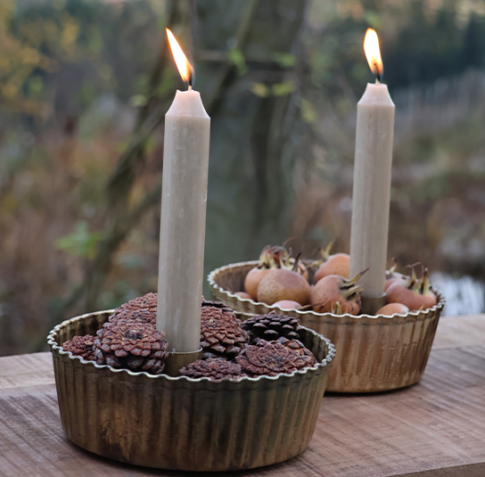 heleborus-gold-klein04