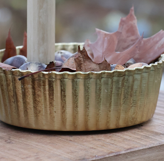 heleborus-gold-klein05