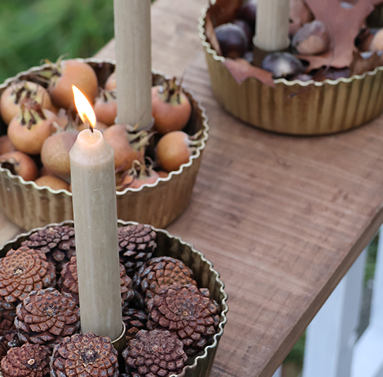 heleborus-gold-klein1