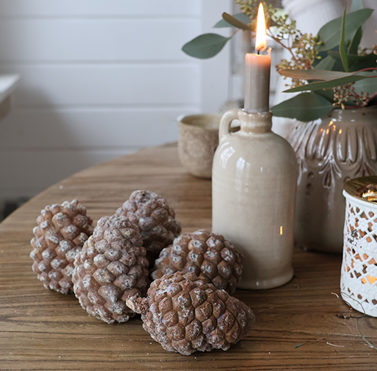 pinienzapfen_geschlossen2