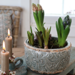 Übertopf Muscari groß