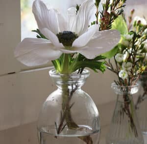 Glasvase Mini bauchig – Bild 8