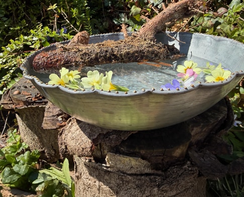 wasserschale_deko
