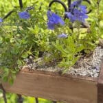 DIY Set - Ziegelform klein Altholz inkl. Pflanzen (Variante 2) - perfekt für Balkon & Terrasse