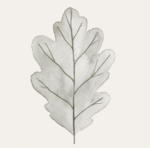 Serviette Blatt