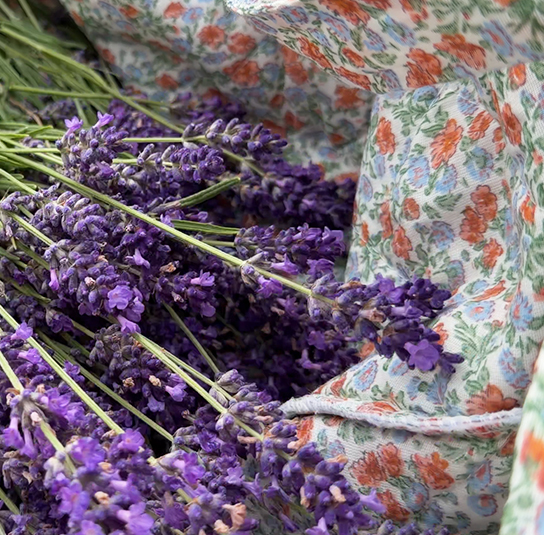 tasche_rose_blaurot