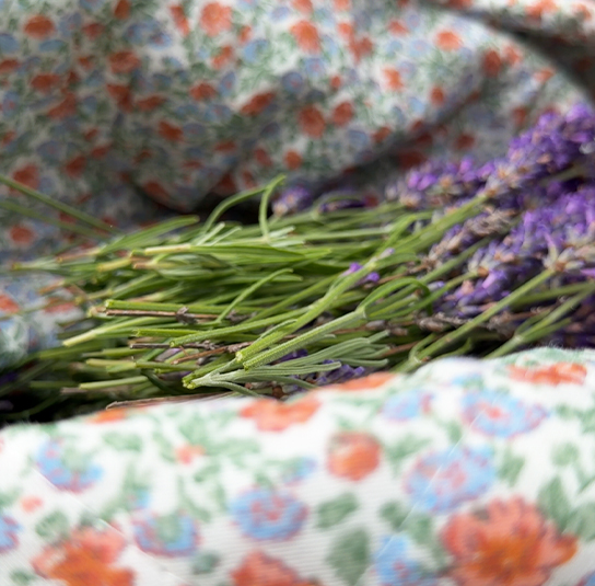 tasche_rose_blaurot2