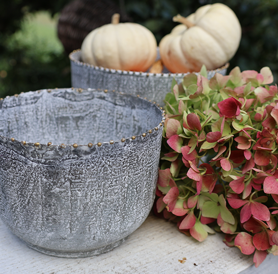 schale_helleborus_3