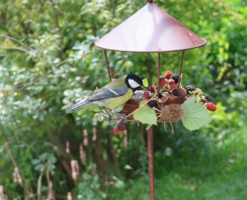 vogelhaus_aktion