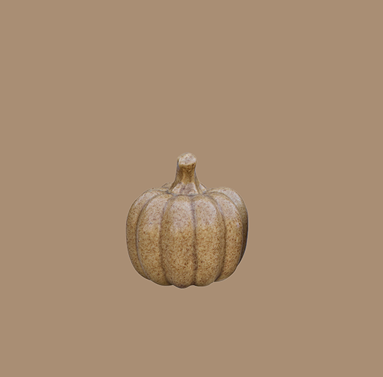 Kürbis_Pamela_beige