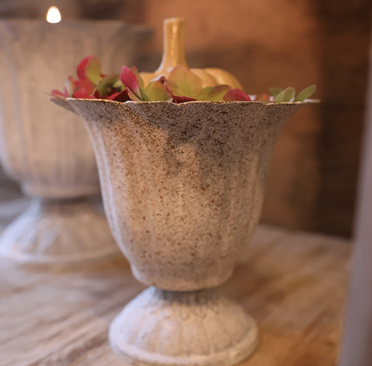 pokal_tulpe_4